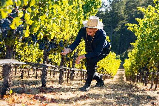 Aaron Pott examining grapes at a vineyard